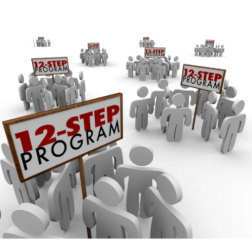 12 Step Programe